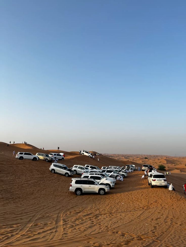 49dfcb29-9b42-40df-a3c5-f5c18b04a20e – Copy