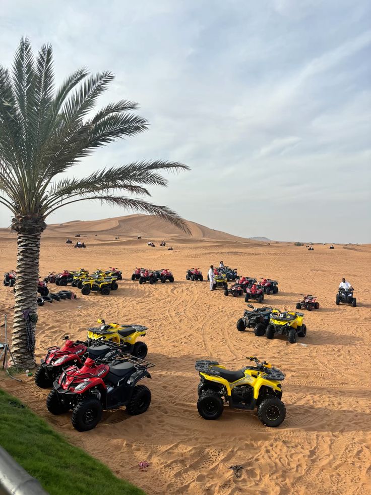 98168e07-3e8f-4158-b4e4-f9351d68e53d – Copy